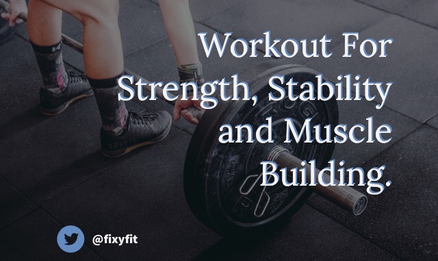 Muscles , bodybuilding